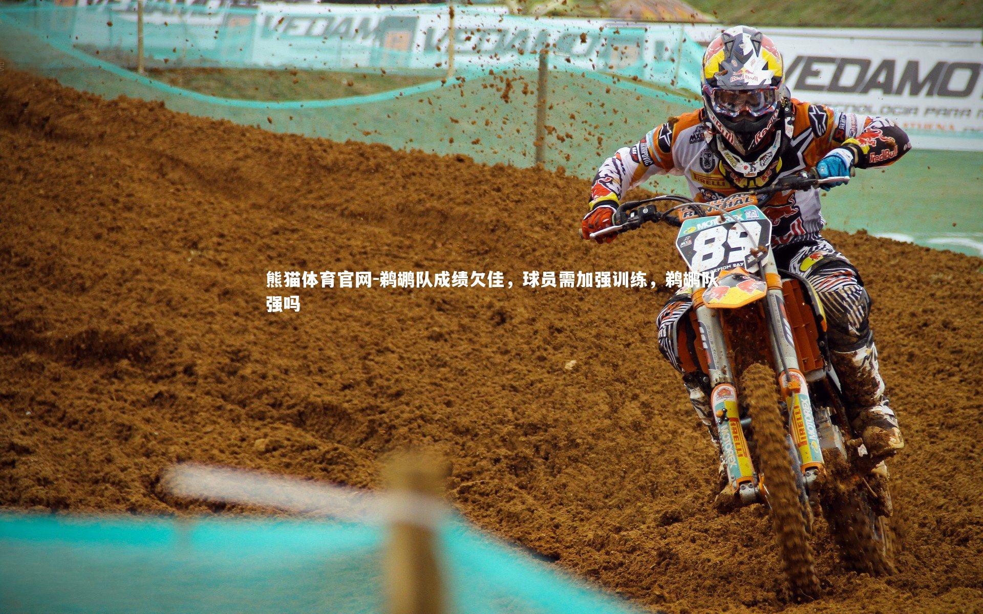 鹈鹕队成绩欠佳，球员需加强训练，鹈鹕队强吗