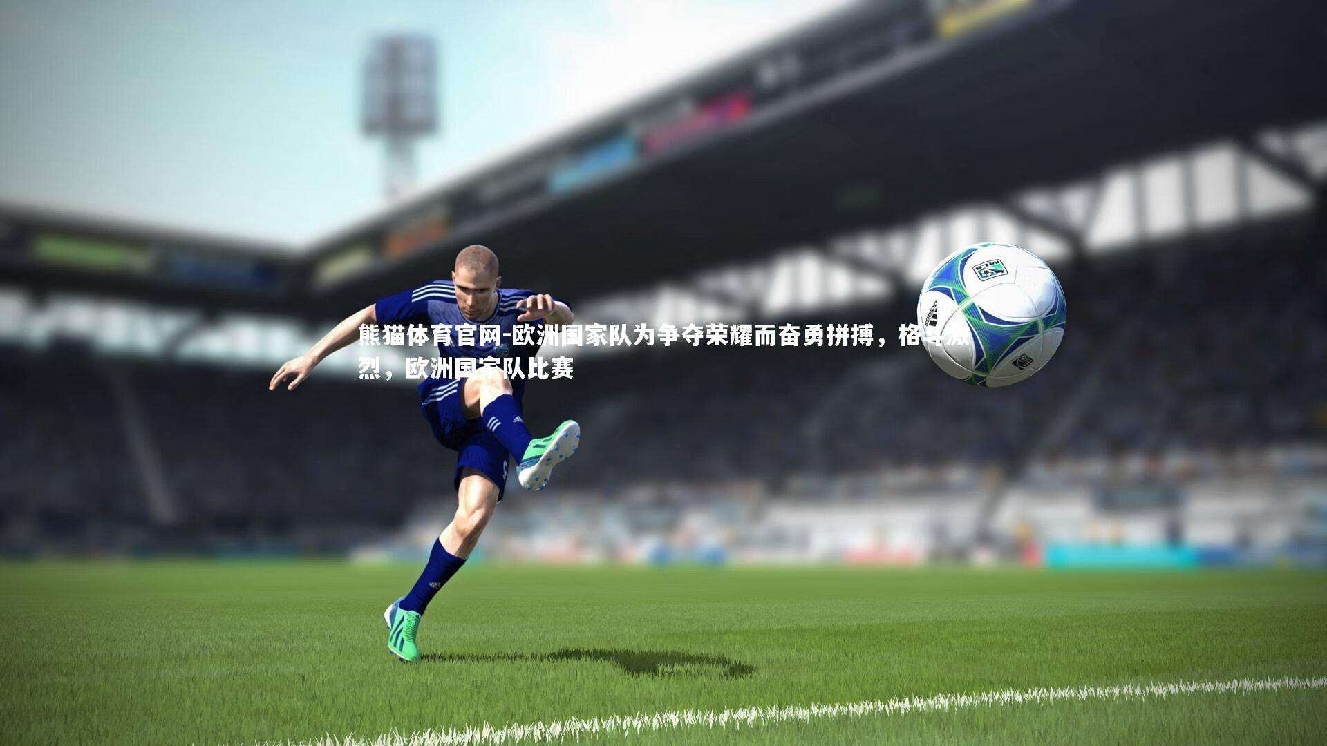 欧洲国家队为争夺荣耀而奋勇拼搏，格斗激烈，欧洲国家队比赛